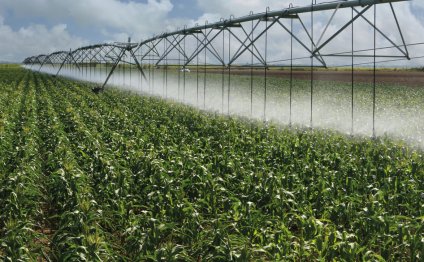 The expansion of irrigation