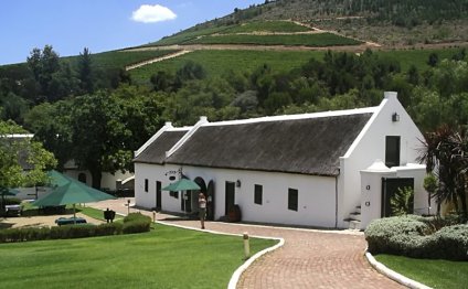 Wine production in South