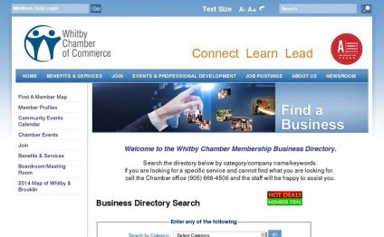 47. Business Directory Search