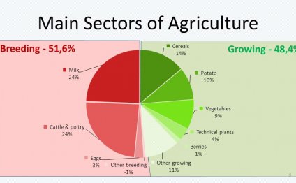 Sectors of Agriculture