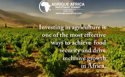 Agrique Africa Investment