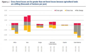 pRegional patterns in forest gains and losses are intimately connected to agriculture in many cases. Source: World Resources Report: Creating a Sustainable Food Future/p
