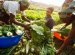 Comprehensive Africa Agriculture Development Programme