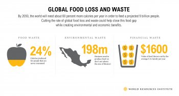 pSource: World Resources Report: Creating a Sustainable Food Future/p