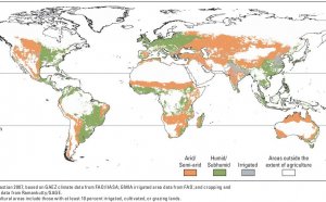 Africa Agriculture Facts