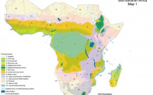 Agriculture in sub Saharan Africa