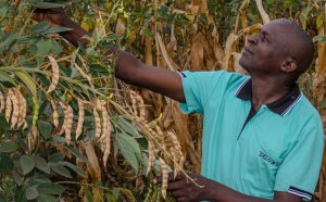 Agriculture Jobs South Africa