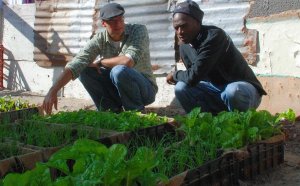 Business Opportunities in South Africa