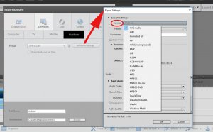 Export opportunities