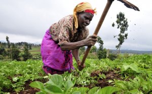 List of African countries by economy