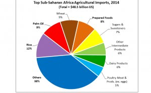 South African Agricultural exports