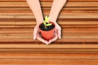 Search for environmental jobs and career advice on Pnet