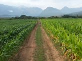 Farming in South Africa