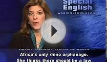 In South Africa, Armed Guards for Rhinos