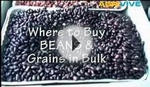 US Beans Market, US Beans Market, US Beans Export, US