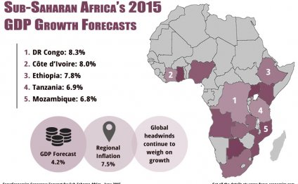 Sub Saharan Africa Economy